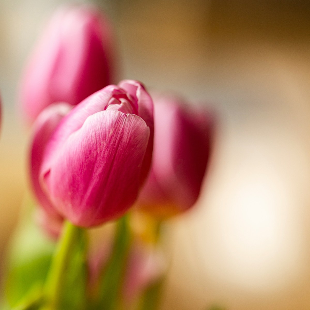 Happy Mother’s Day!