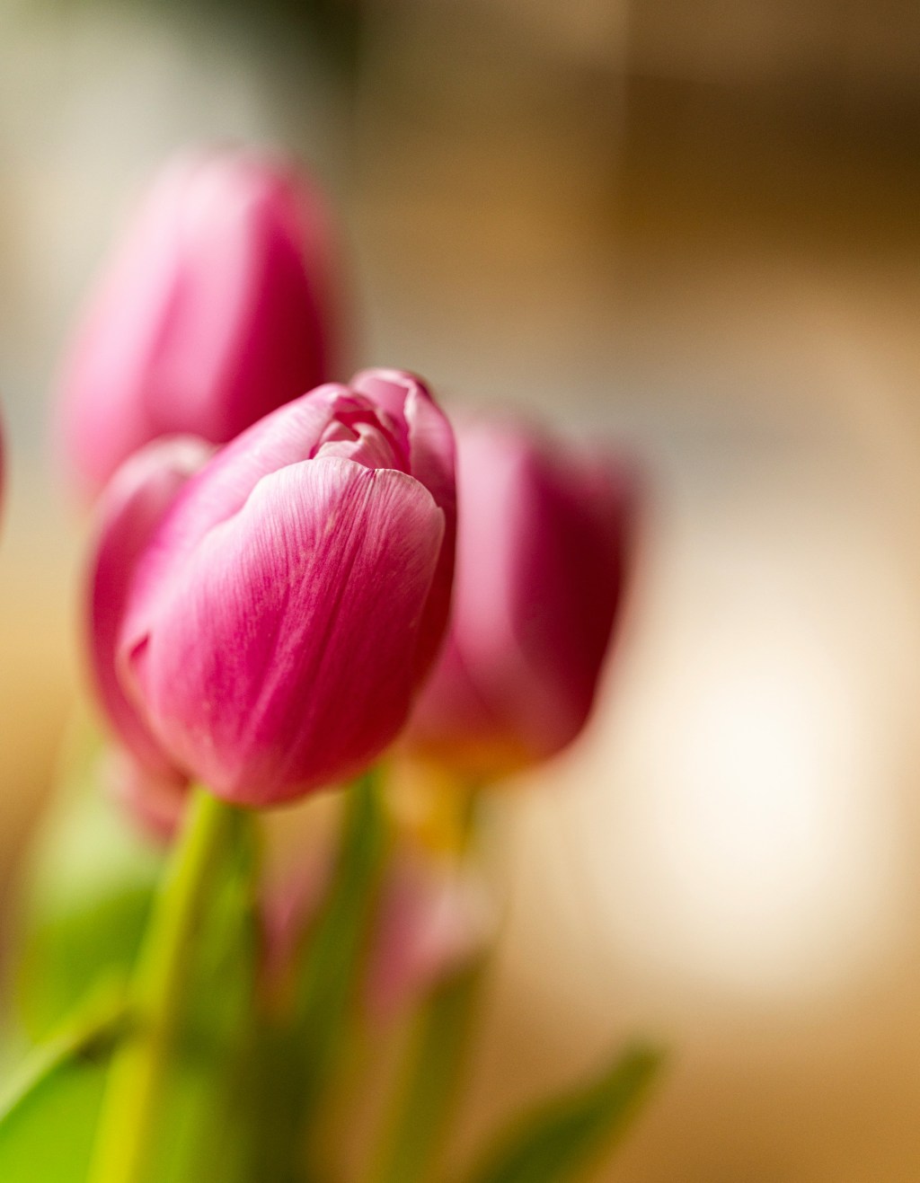 Happy Mother’s Day!